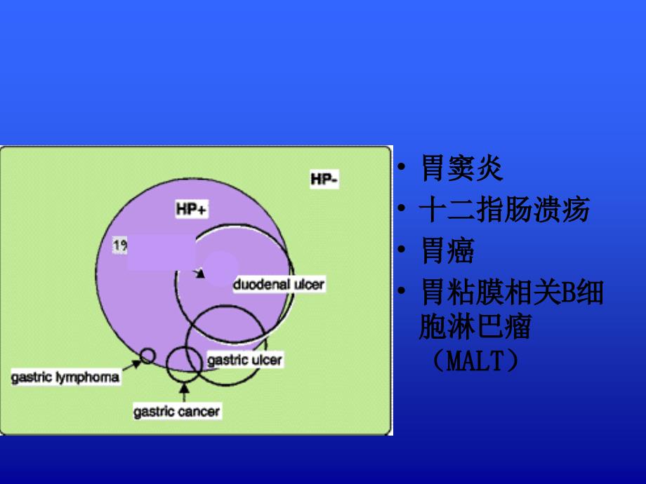 医学微生物学教学课件：医学相关其他细菌_第4页