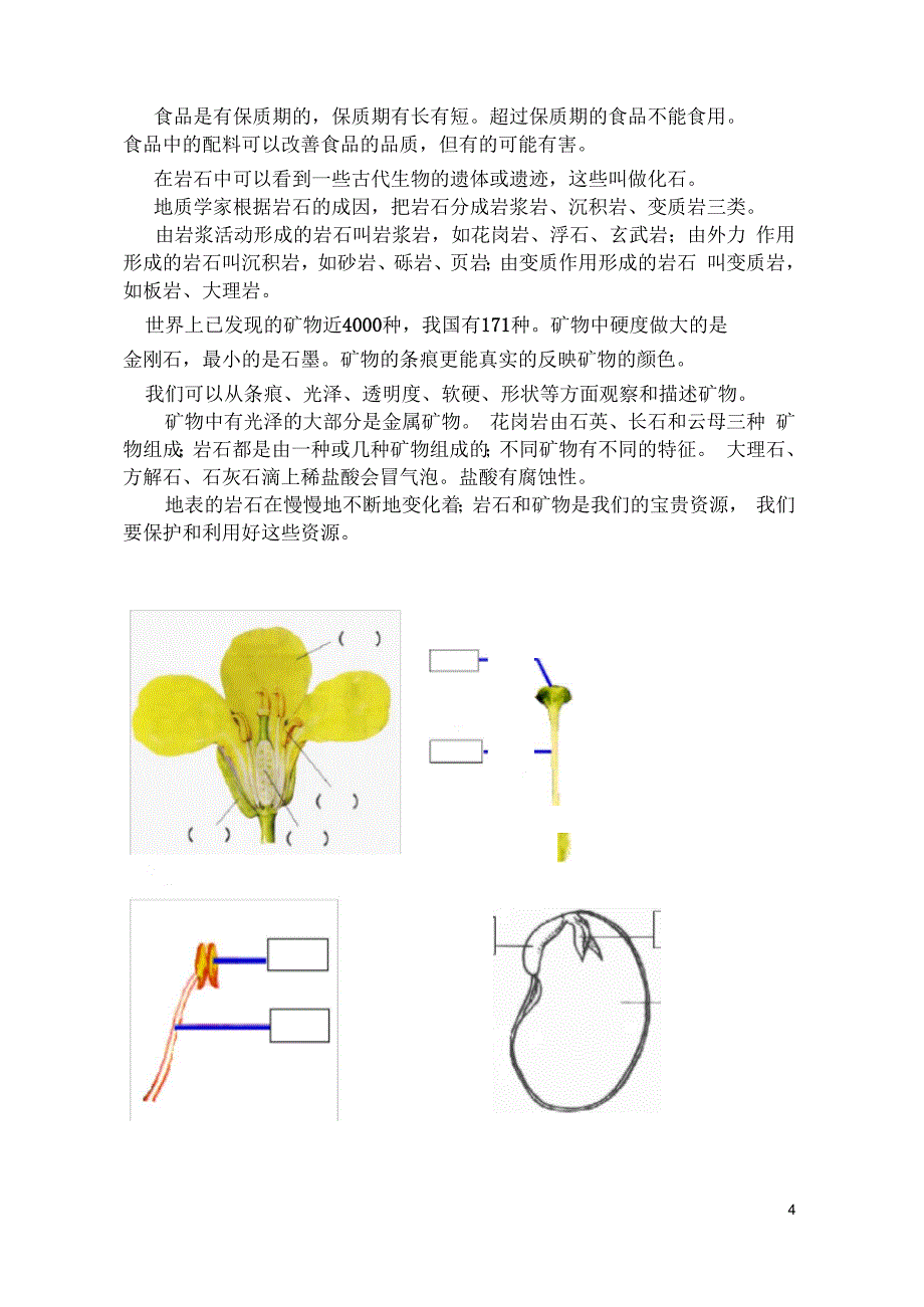 四下科学知识与操作_第4页