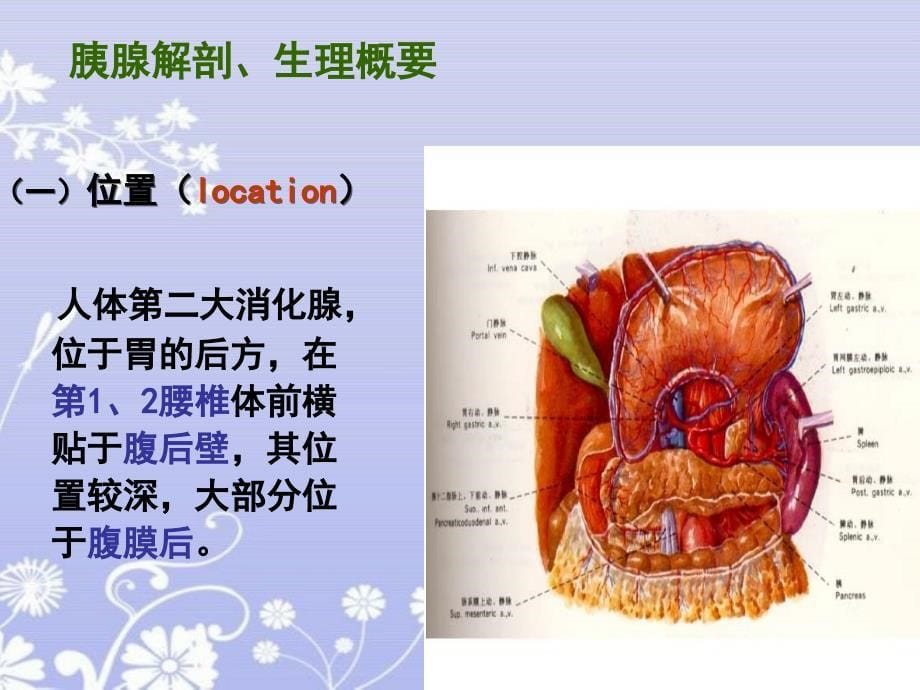 教学查房胰腺癌的护理 ppt课件_第5页