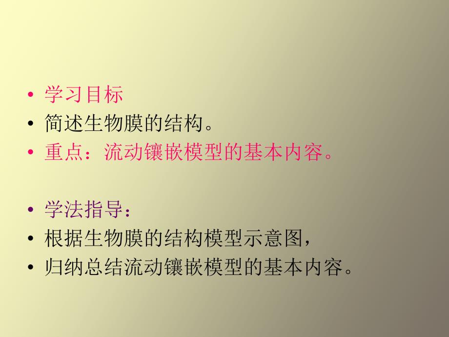 细胞膜结构模型_第2页