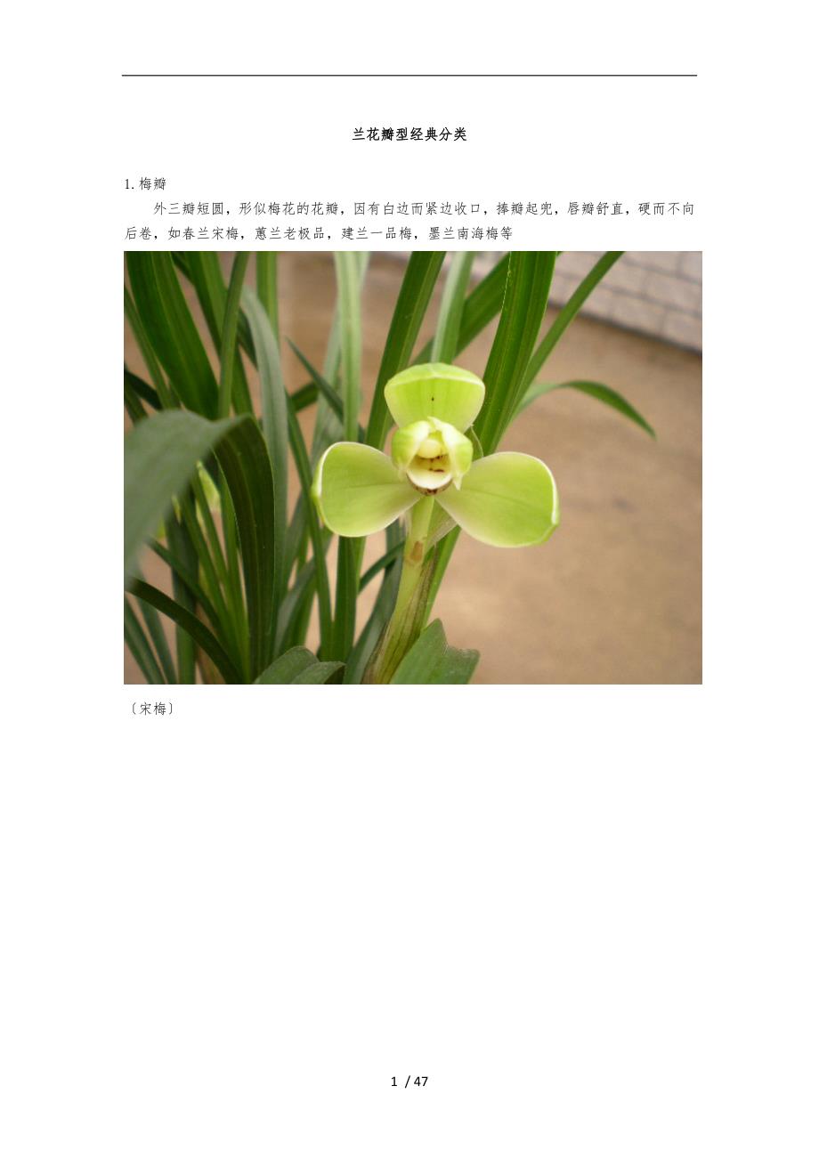 兰花瓣型经典分类_第1页