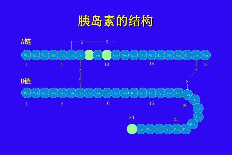 胰岛素治疗概论ppt课件文档资料_第5页