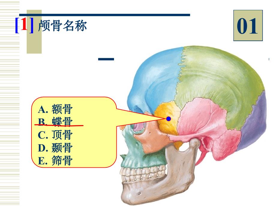 最新学时实验PPT课件_第2页