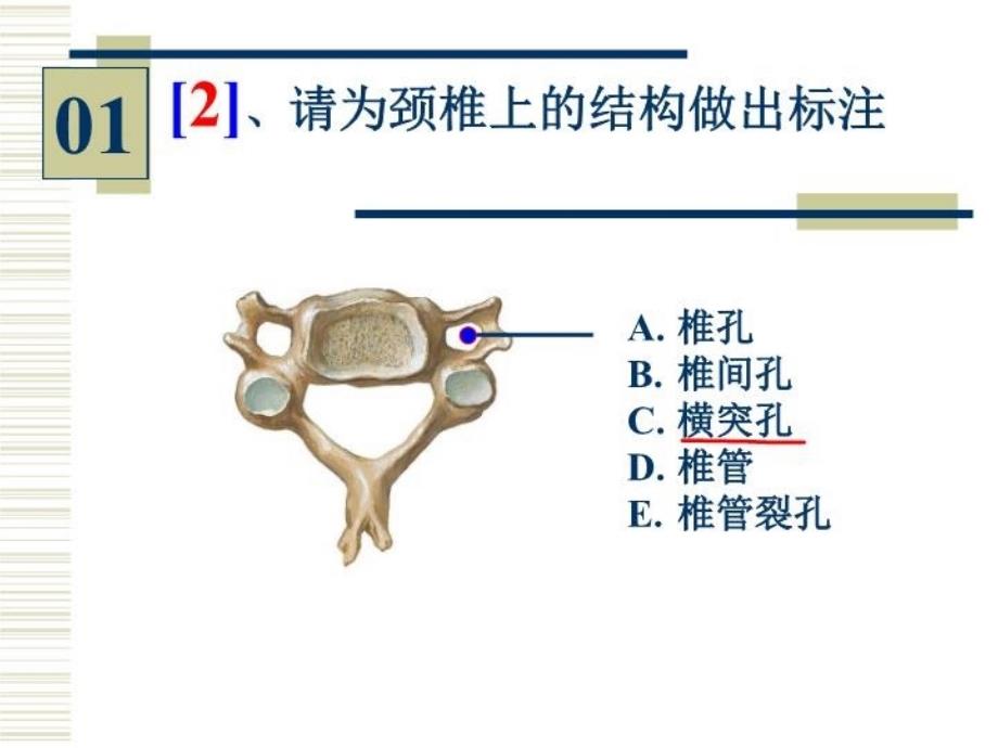 最新学时实验PPT课件_第3页