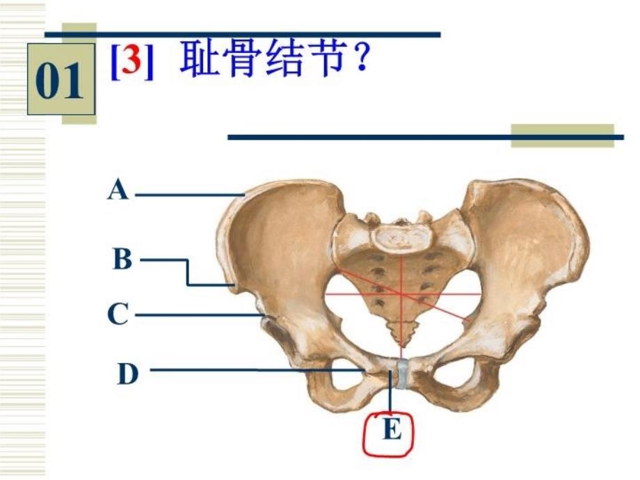 最新学时实验PPT课件_第4页