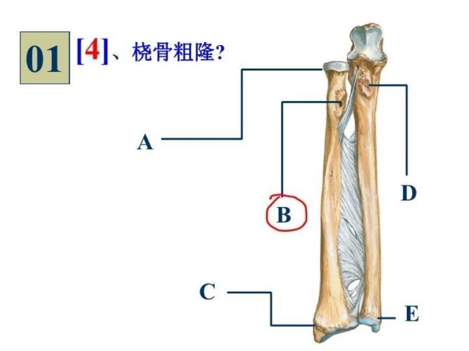 最新学时实验PPT课件_第5页