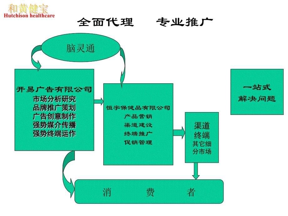 脑灵通整合营销推广策略_第5页