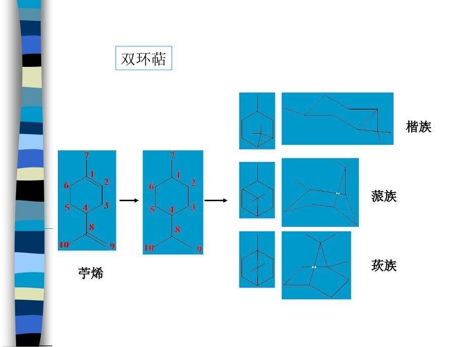 十七章萜类和甾体化合物pt课件_第5页