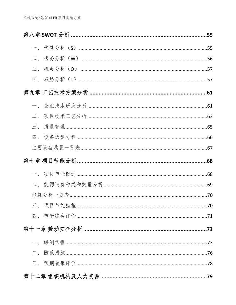 湛江OLED项目实施方案模板_第4页