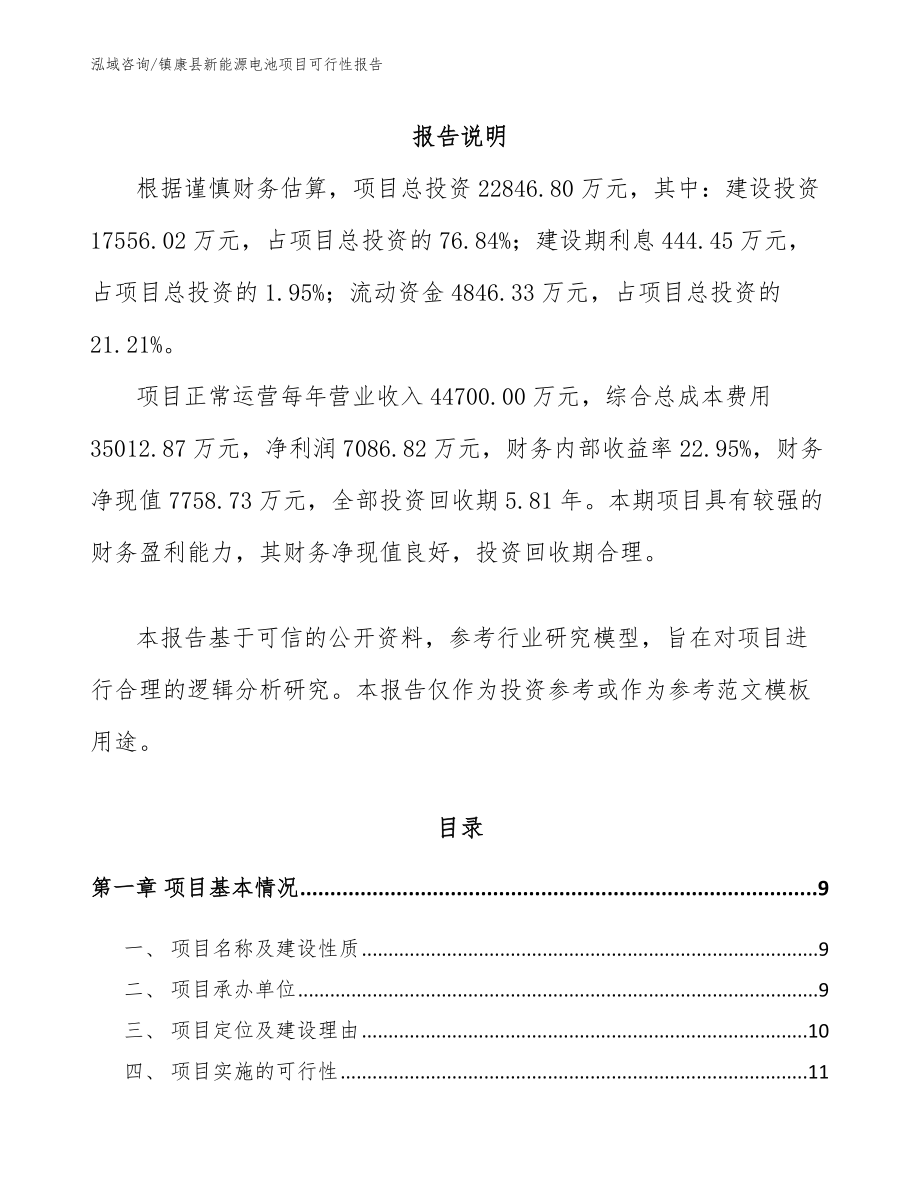 镇康县新能源电池项目可行性报告_模板范本_第2页