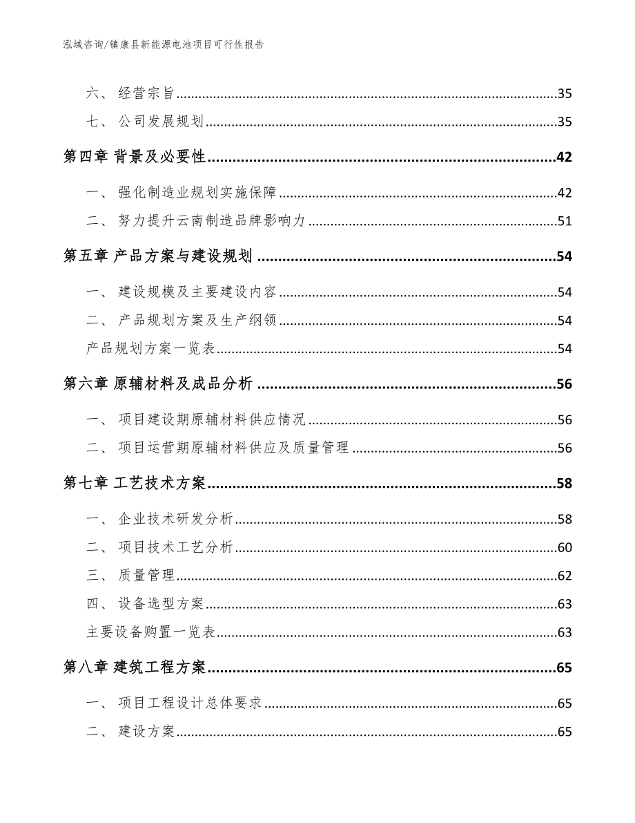 镇康县新能源电池项目可行性报告_模板范本_第4页