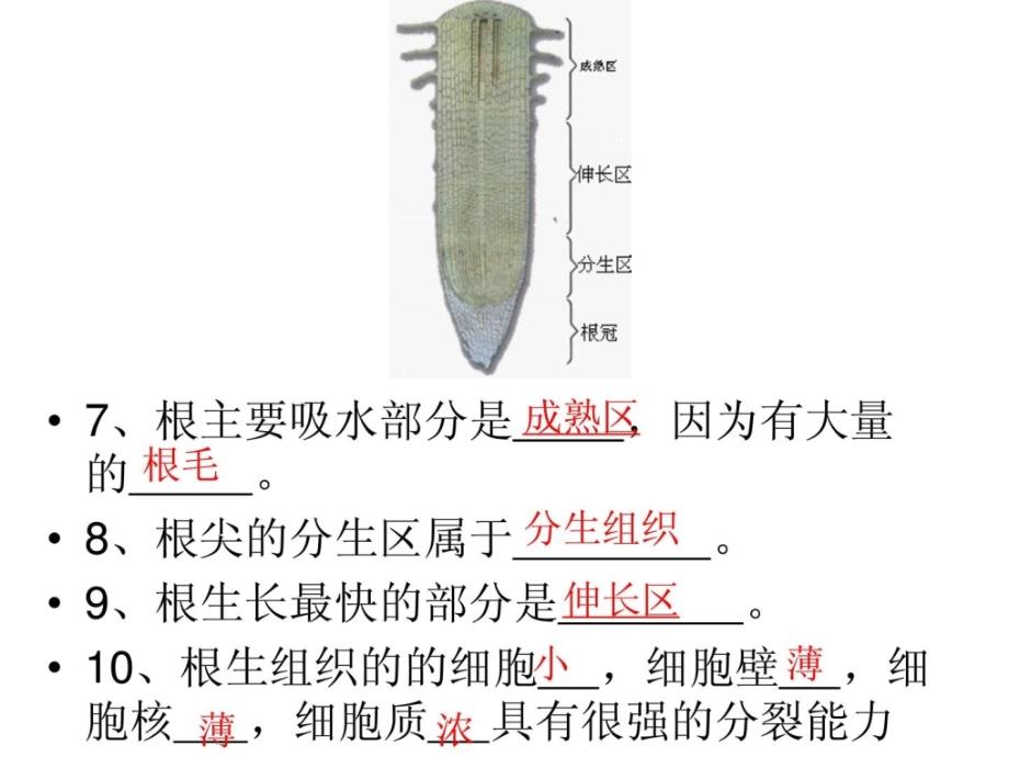 初中生物教材片[资料]_第3页