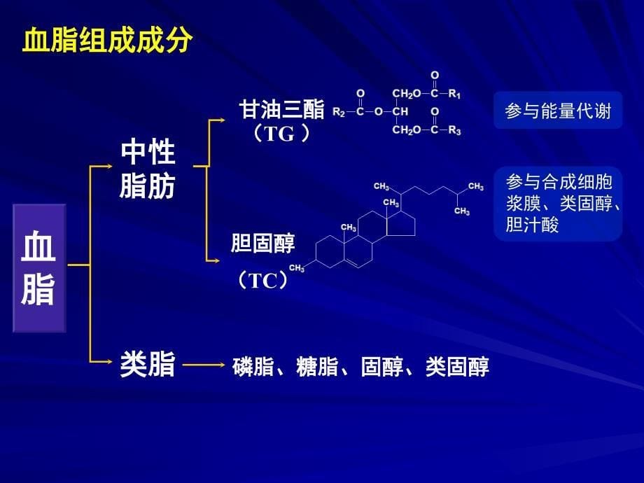 《血脂知识培训》课件_第5页