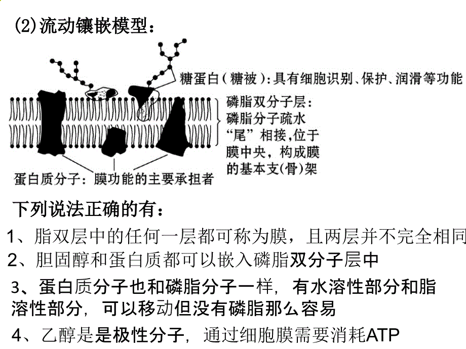 物质出入细胞的方式_第4页