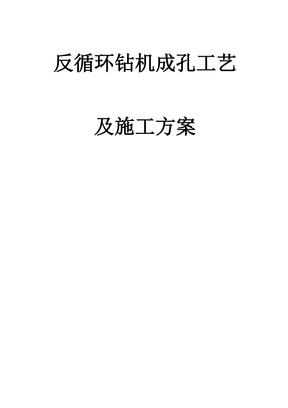 反循环钻机成孔工艺_第1页