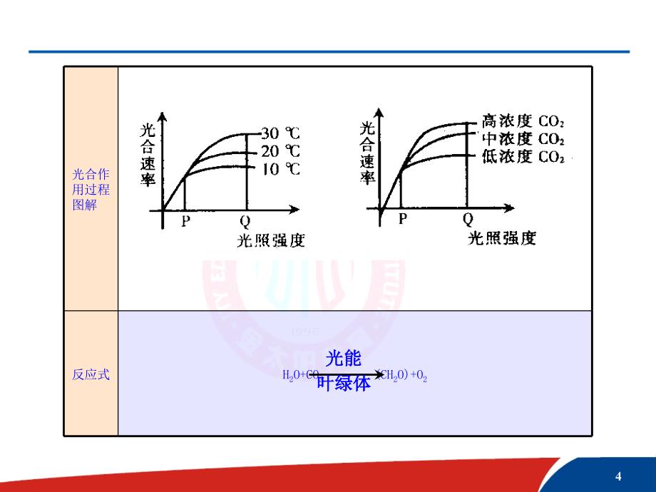 座2光合作用与细胞 呼吸综合题的解题方法课件_第4页