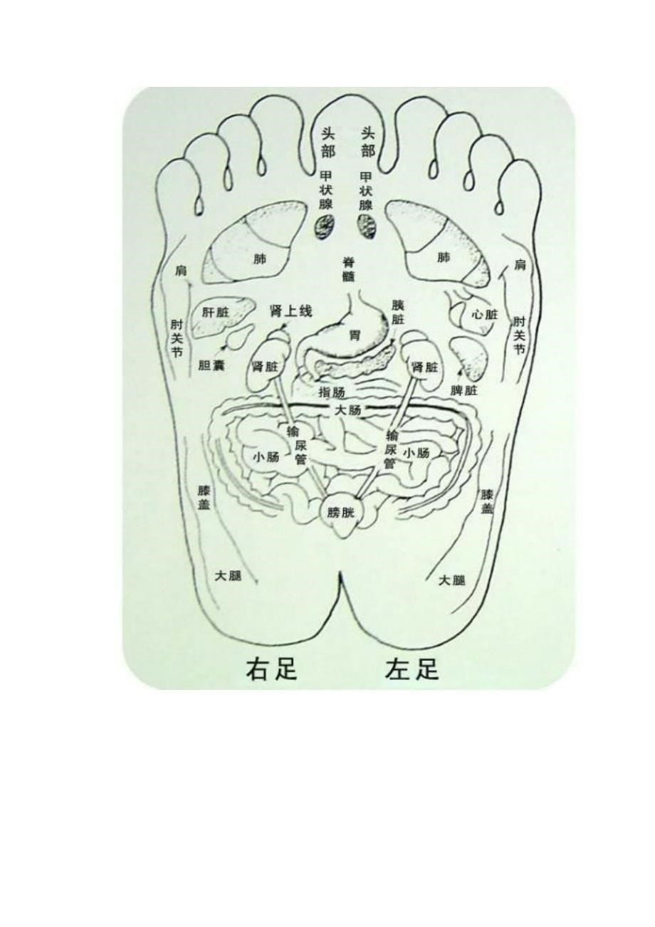 足疗穴位图解及治疗口诀_第5页