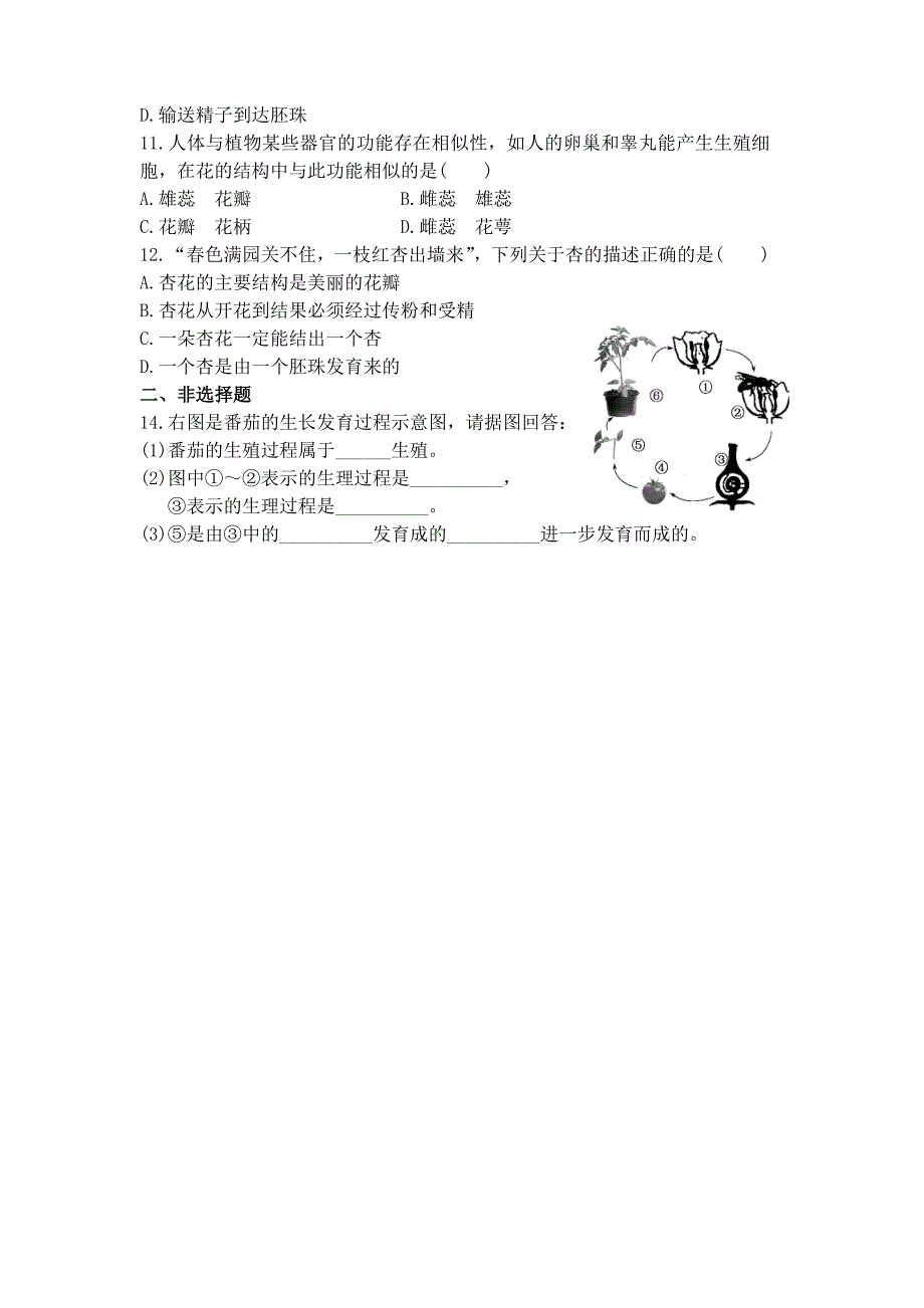 植物的有性生殖_第4页