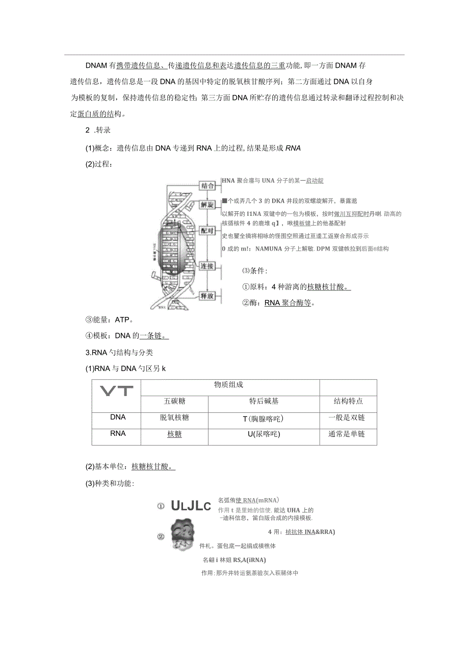 高中生物第三章遗传的分子基础第四节遗传信息的表达——RNA和蛋白质的合成教学案浙科必修_第2页