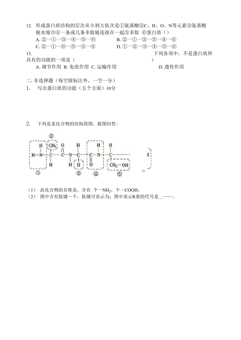 高一生物蛋白质练习题_第2页