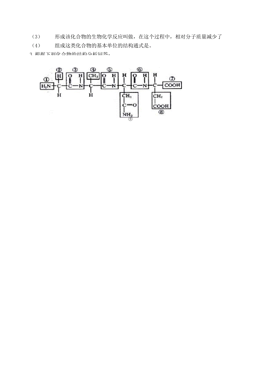 高一生物蛋白质练习题_第3页