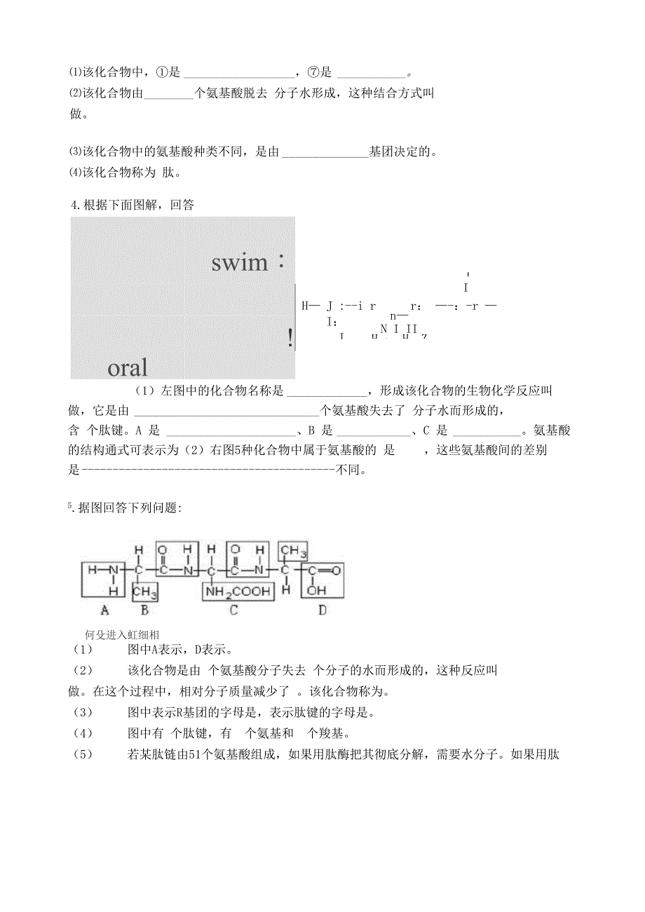 高一生物蛋白质练习题_第4页