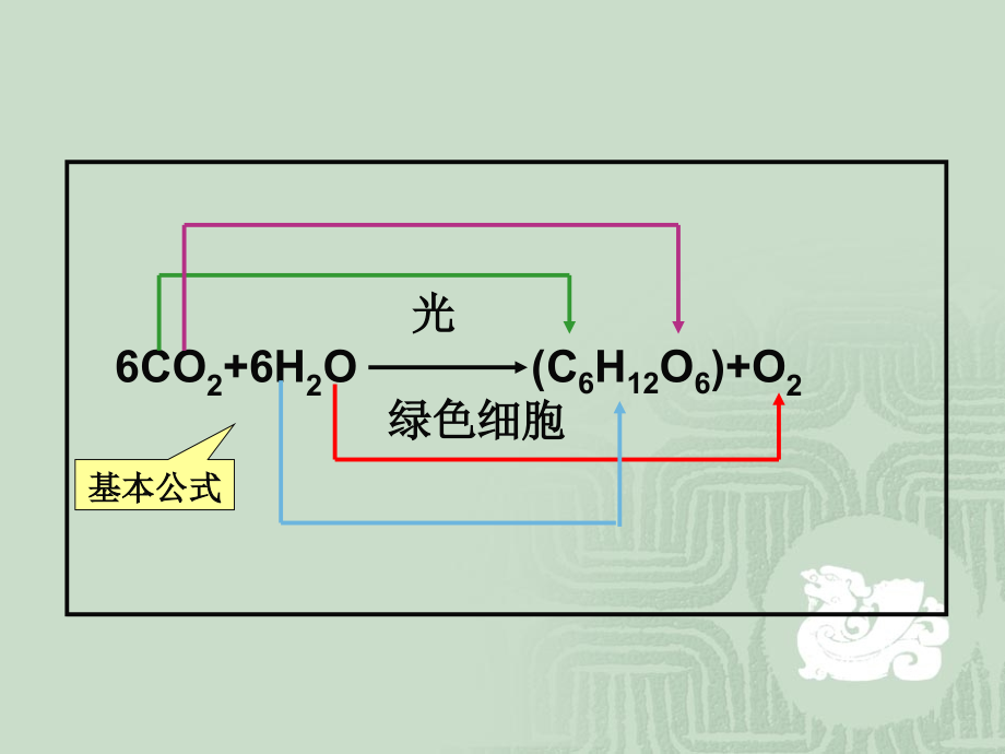 植物生理学：03光合作用_第4页