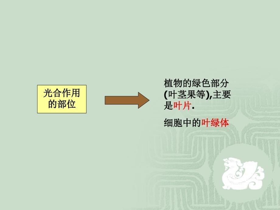 植物生理学：03光合作用_第5页