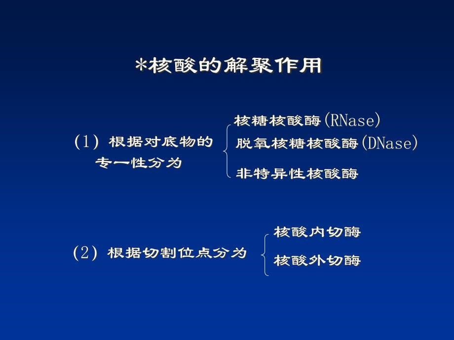 生物化学简明教程第十二章核酸代谢_第5页