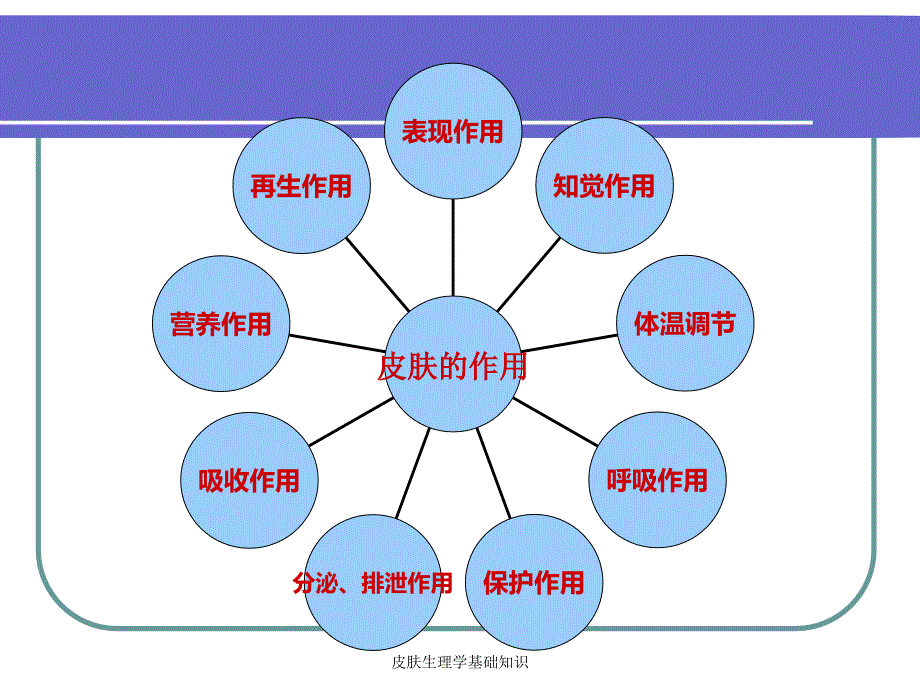 皮肤生理学基础知识经典实用_第4页