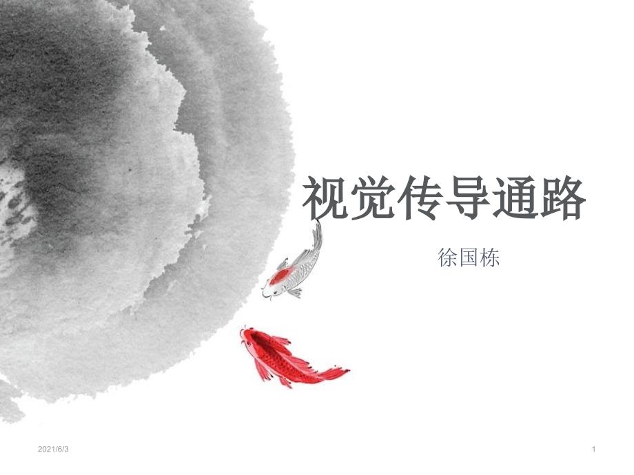 视觉传导通路1_第1页