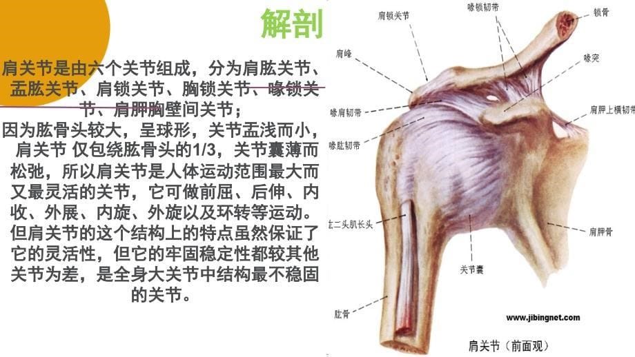 人工肩关节置换术手术配合庞艳彭姗姗_第5页