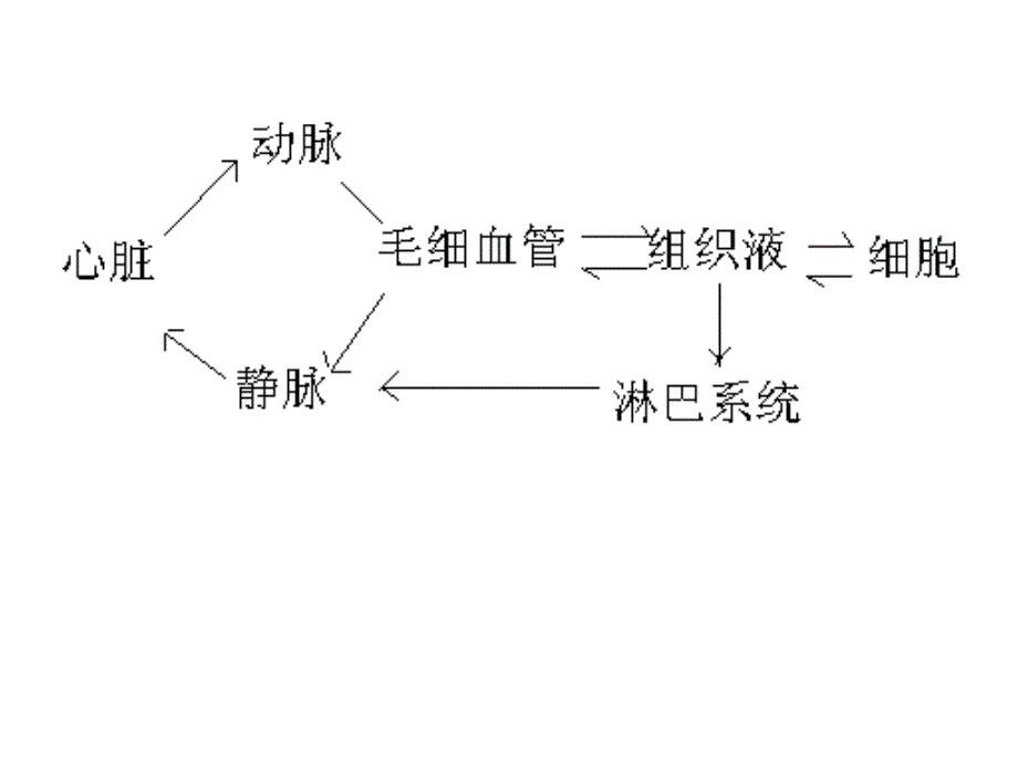 浅表淋巴结的超声诊断(2)教程文件_第2页