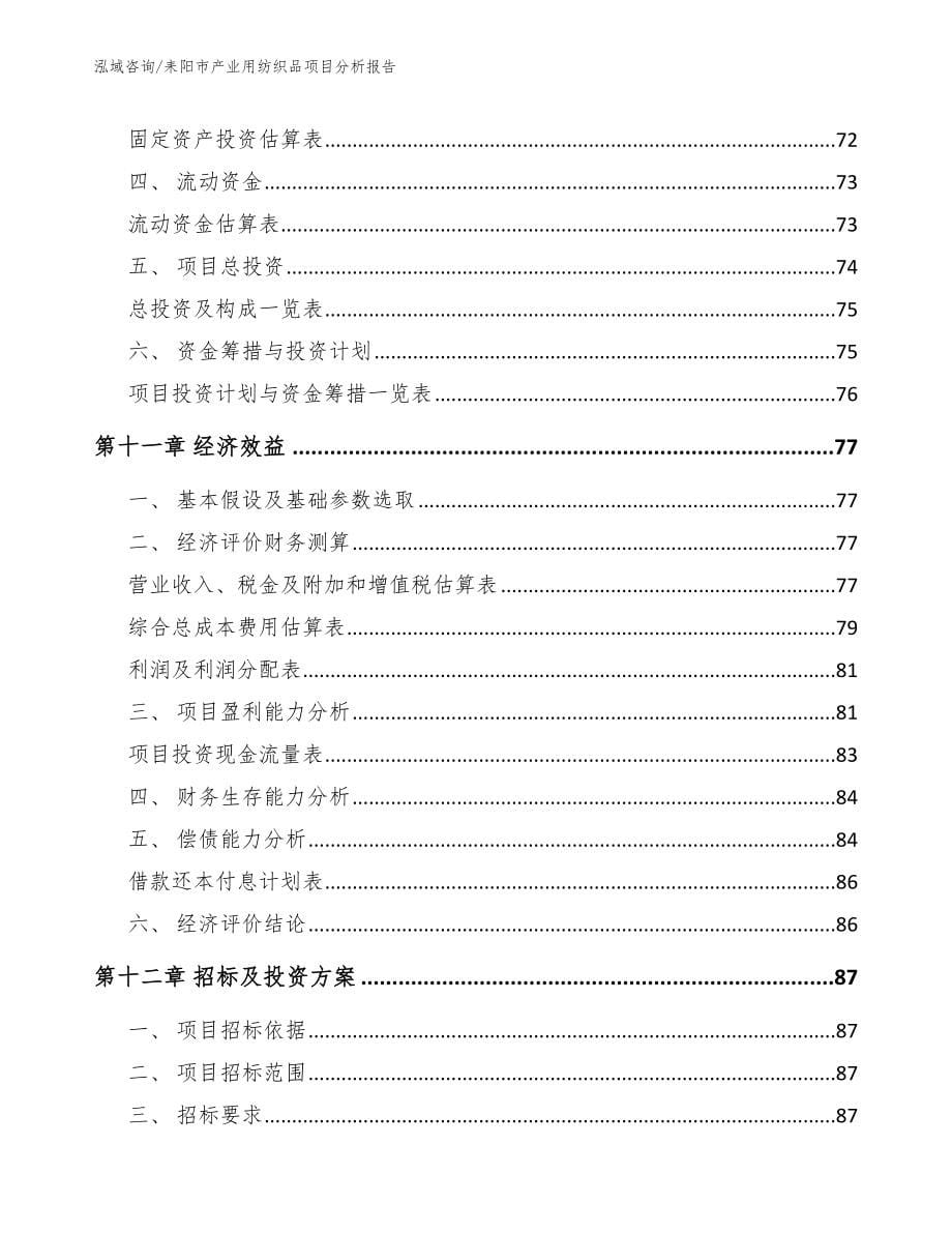 耒阳市产业用纺织品项目分析报告_第5页