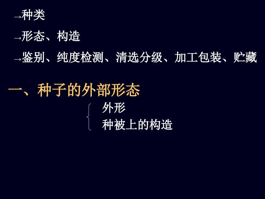 第三章种子的形态结构和生理特性_第2页