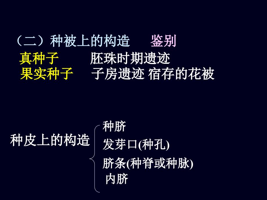 第三章种子的形态结构和生理特性_第4页