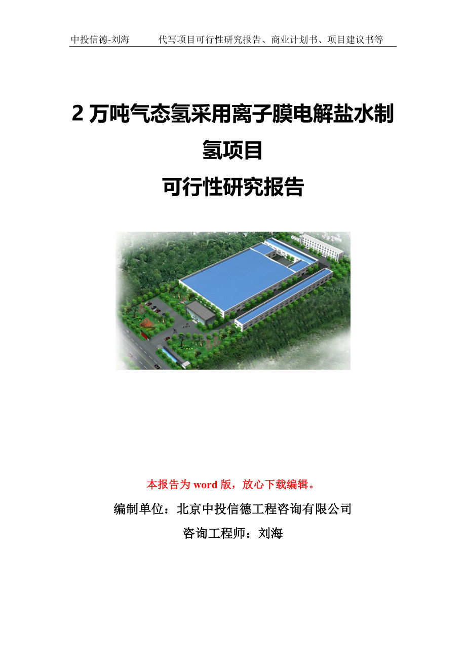 2万吨气态氢采用离子膜电解盐水制氢项目可行性研究报告模板_第1页