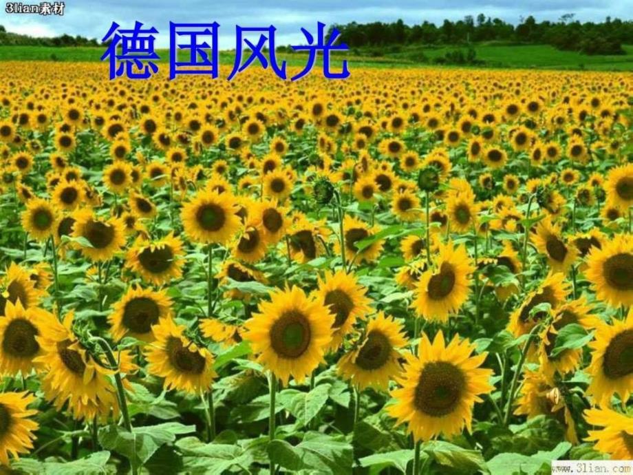 25自己的花是让别人看的ppt.ppt_第2页