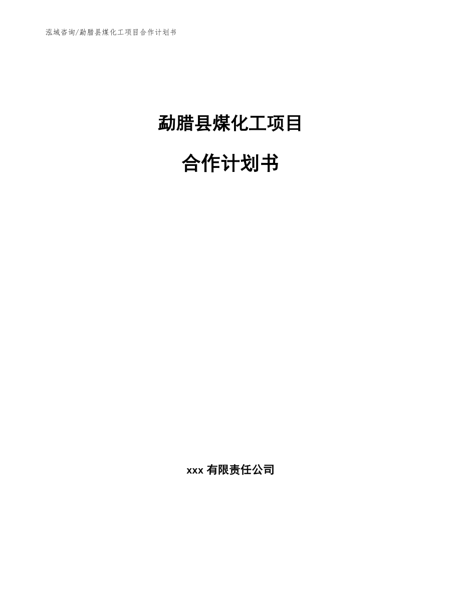 勐腊县煤化工项目合作计划书（模板范本）_第1页