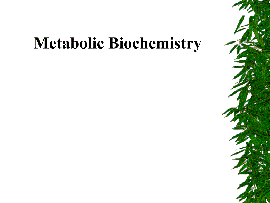 生物化学教学课件：00B Introduction metabolism_第1页