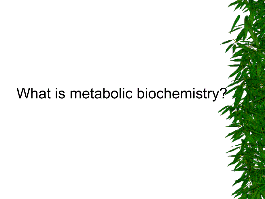 生物化学教学课件：00B Introduction metabolism_第2页