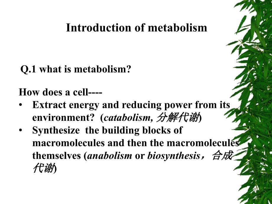 生物化学教学课件：00B Introduction metabolism_第5页