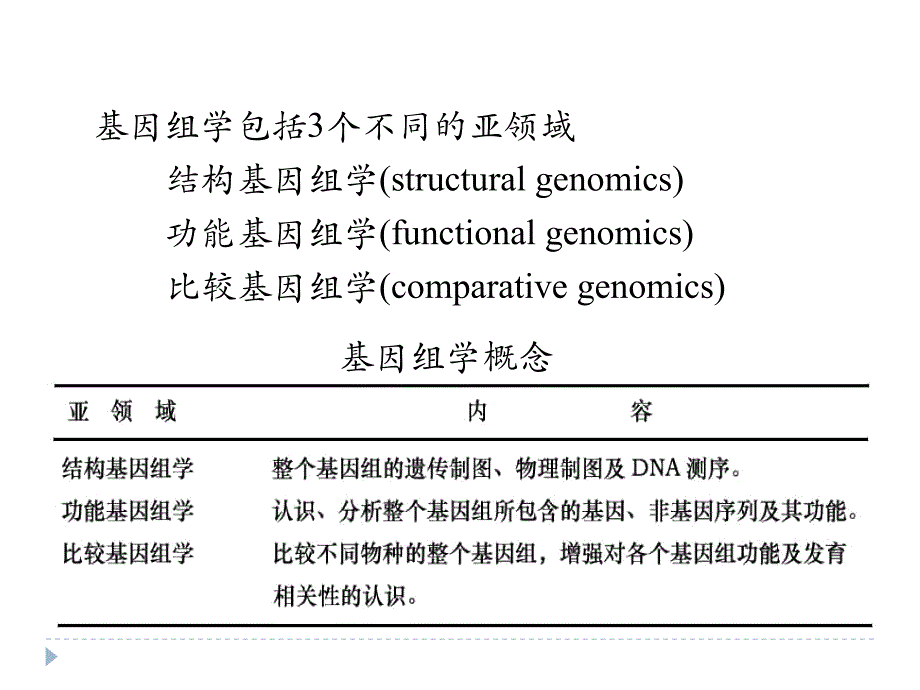 《功能基因组学》PPT课件.ppt_第4页