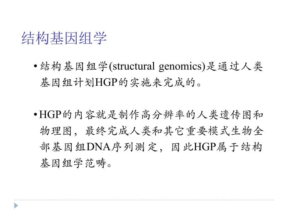 《功能基因组学》PPT课件.ppt_第5页