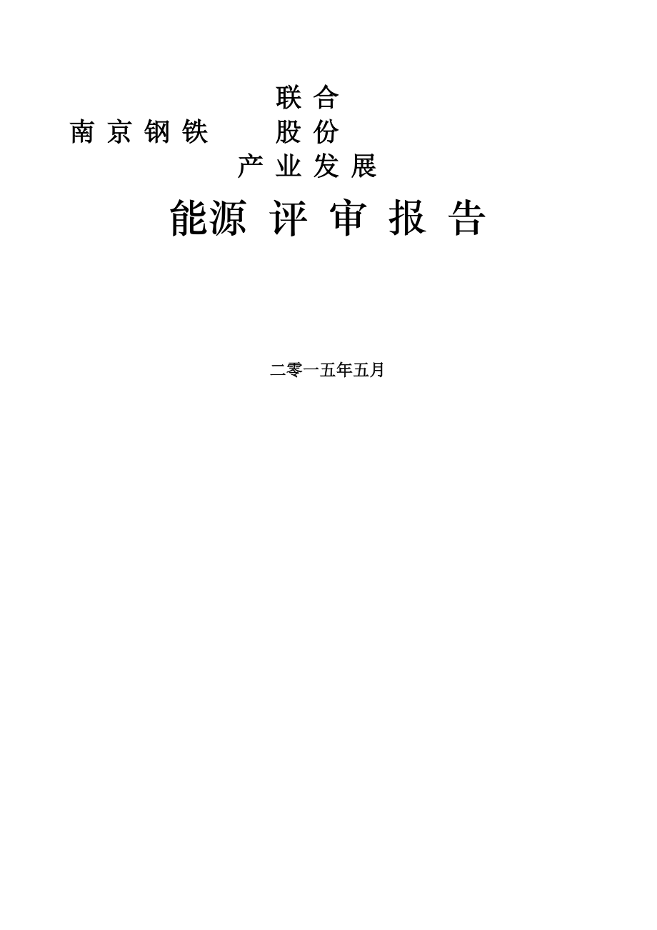 南钢能源评审报告(DOC303页)_第1页
