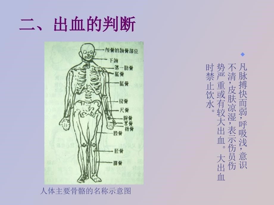 现场急救基础知识_第5页