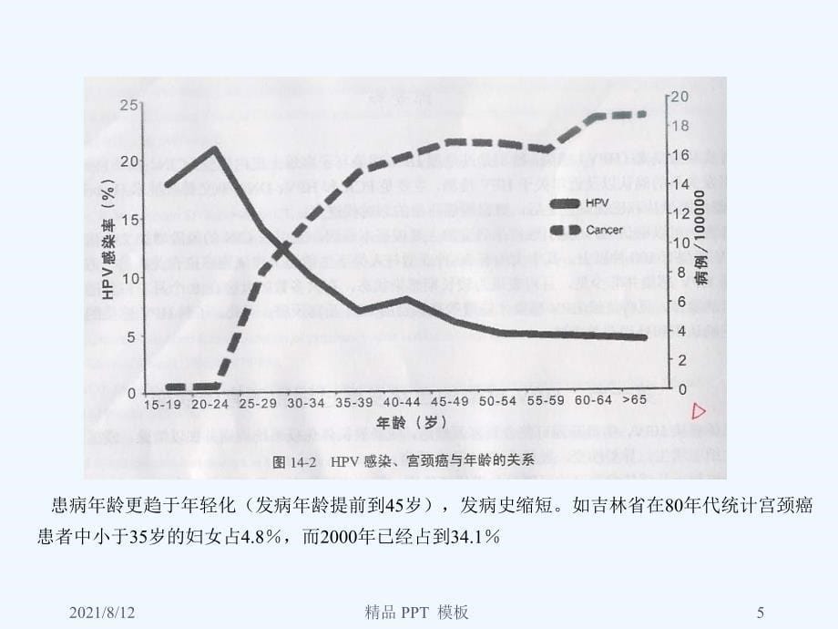 HPV与宫颈癌和HPV的基因芯片检测教学课件讲座_第5页