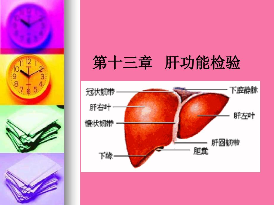 第十三章肝功能检验ppt课件_第1页