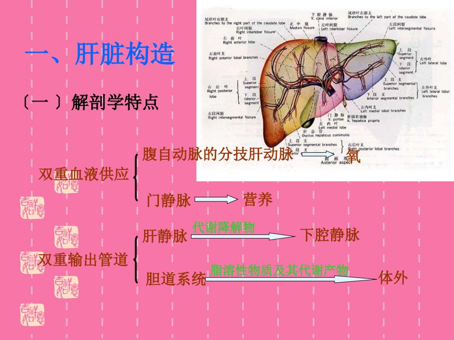 第十三章肝功能检验ppt课件_第4页