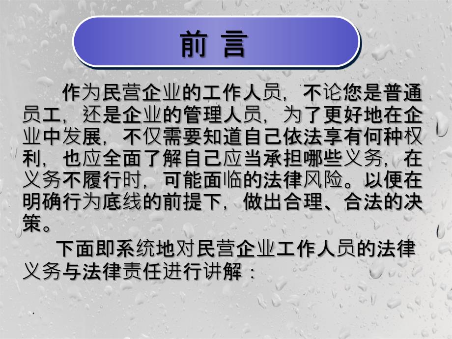 民营企业工作人员法律义务与法律责任_第1页